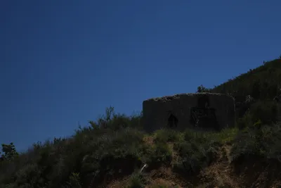 DSC_5897 (Large).JPG